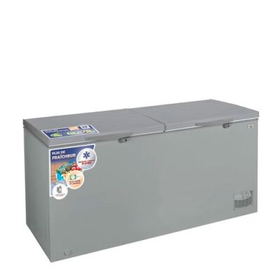 NASCO – Congélateur Horizontal NAS-900FL-DD – 900 Litres – 2 Portes