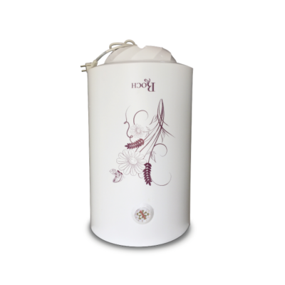 Chauffe eau ELECTRIQUE ROCH 50 Litres RWH 50V15